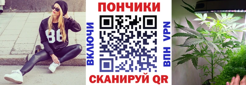 Бошки марихуана сатива  Купить  Краснотурьинск 